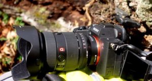 سونی و معرفی دوربین بدون آینه alpha 7R V