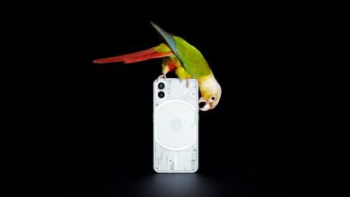 ناتینگ Phone (1)