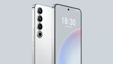 خانواده میزو 21