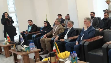 بهرهبرداری از سایتهای ارتباطی روستایی ایرانسل در کرمان با حضور وزیر ارشاد