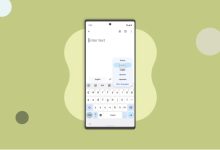 گوگل ترنسلیت