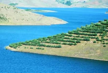 کردستان