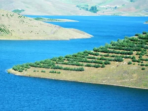 کردستان