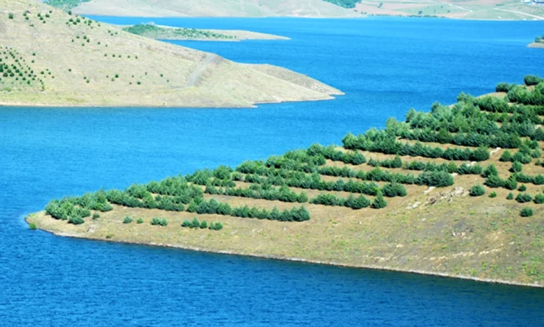 کردستان