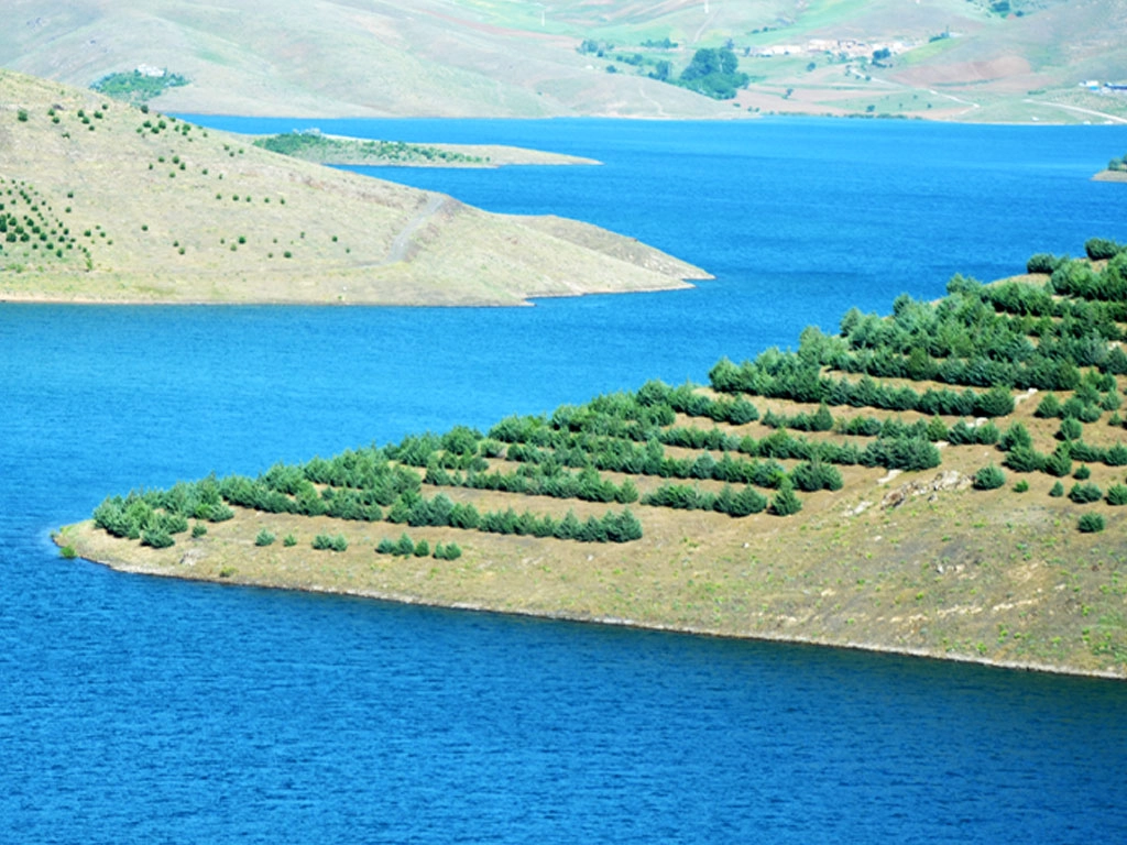 کردستان