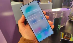 Privacy Display