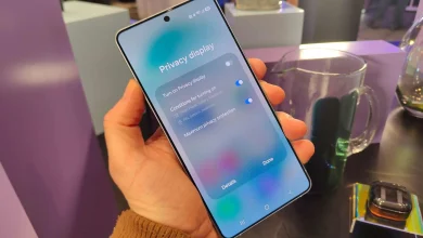 Privacy Display