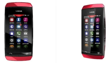 Asha 305