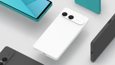 Xperia 10 VIII