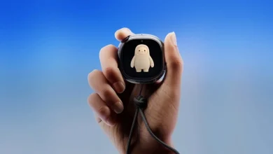 Meta Muse Charm